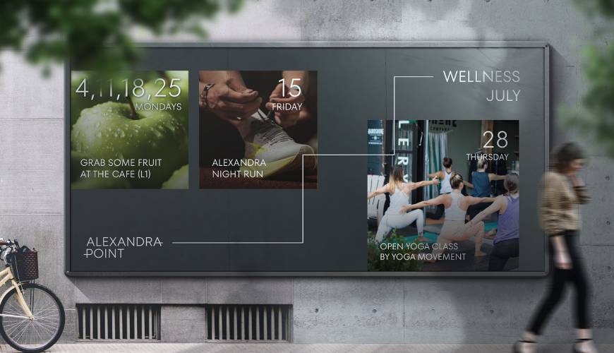 静宁县画册设计公司如何进行品牌审核